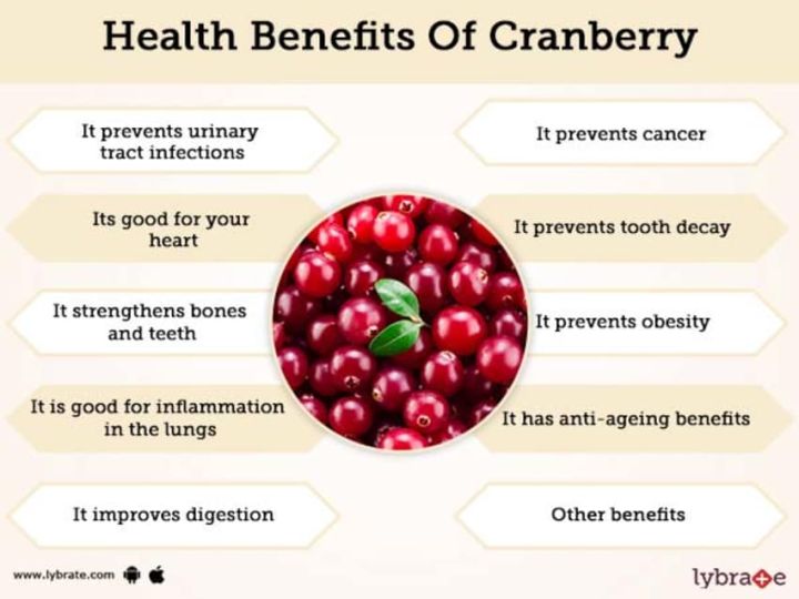 แครนเบอรรี่สกัด-cranberry-fast-dissolve-cranberry-flavor-250-mg-120-tablets-natrol