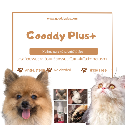 Gooddy plus Pet Paw Cleaning Foam โฟมล้างเท้าสุนัข แมวและสัตว์เลี้ยง ไม่ต้องล้างน้ำออก ธรรมชาติ100% นาโนเทคโนโลยีจากอเมริกา