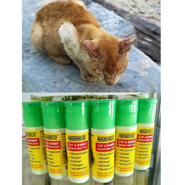 Maxhico Skin Care Essential Oil Ubat Kurap 30ml Arnab Kuching Rabbit Cat Skin Care Lazada