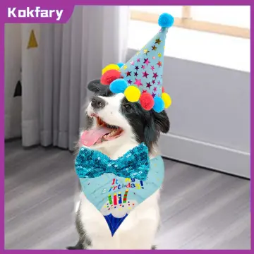 Birthday outfits store for dogs