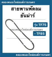 สายพาน ยันม่าร์ รุ่น TF75 TF85 สายพานพัดลมหม้อน้ำ สายพานพัดลมTF75 สายพานพัดลม สายพานTF85 สายพานTF