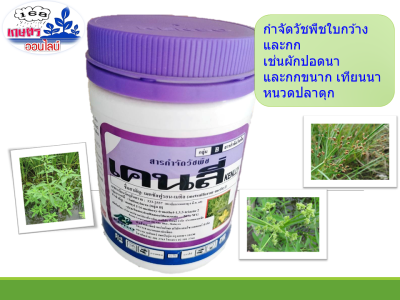 เคนลี่ สารกำจัดวัชพืชใบกว้าง ชื่อสามัญ เมตซัลฟูรอน-เมทิล (Metsulfuron-Methyl) 50 กรัม