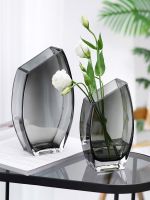 ๑❄ Light luxury Nordic minimalist creative oblique glass vase water flowers living room table decoration decorations