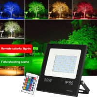 30วัตต์50วัตต์ RGB นำแสงน้ำท่วม220โวลต์การควบคุมระยะไกล Floodlight ผนังสะท้อนสปอตไลกันน้ำ IP65ภูมิทัศน์แสง