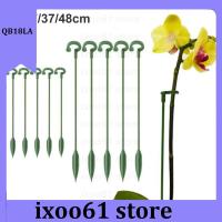 ixoo61 store 5/10x 37cm 48cm Plastic Plant Supports Holder Bracket Flower Stand climbing Fixed Protection Tool Garden Supplies For orchid