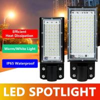 50W 100W LED Floodlight AC 220V 240V Waterproof IP65 Outdoor Projector Flood Light LED Reflector Spotlight Street Lamp Lighting