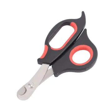 Bird nail outlet clippers