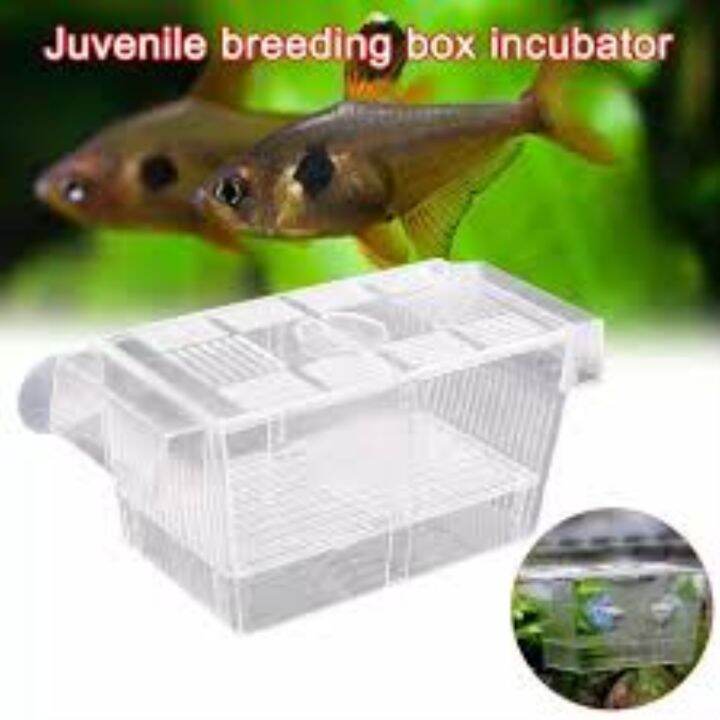 Multipurpose fish hatchery | Lazada PH