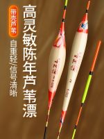 [Fast delivery]Original reed float bold super eye-catching fish float high sensitivity light mouth crucian carp float anti-water high-end genuine reed float