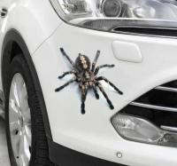 【❗】 Electiro สติกเกอร์รูปสัตว์สำหรับรถยนต์3D,สติกเกอร์ติดรถยนต์ทำจากไวนิล Abarth ลายแมงป่องแมงมุม Gecko จำนวน2ชิ้น