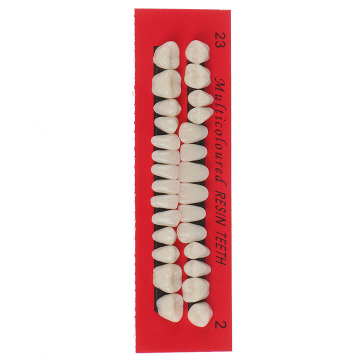 28pcs-set-material-dentures-teaching-dedicated-model-durable-resi-teeth-universal