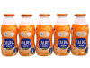 Thùng sữa chua uống lên men calpis - ảnh sản phẩm 3