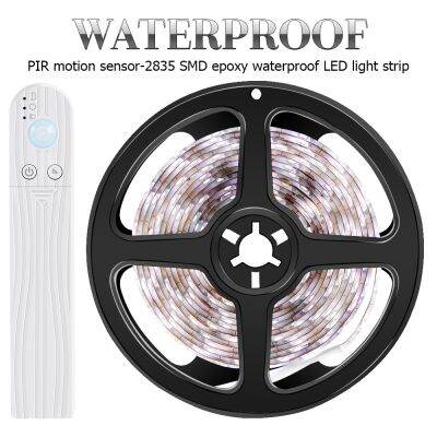 ร้อน PIR LED เทป Motion Sensor Led Strip ตู้โคมไฟแบตเตอรี่ตู้เสื้อผ้าไฟ Led กันน้ำ Neon Strip Night Lighting Cocina Bedroom