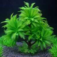 hot【cw】 Artificial Aquarium Weeds Ornament Aquatic Decoration Decorations