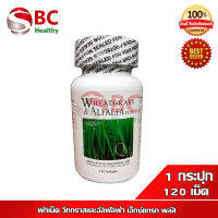 Wheatgrass &amp; Alfalfa Plus (ArmStrong Network) ผักเม็ด วีทกราสและอัลฟัลฟา (1 กระปุก 120 เม็ด)