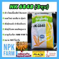 ข้าวโพดเลี้ยงสัตว์ เอ็นเค NK 6848 เบอร์3 (3 หุน) 10 กิโลกรัม หมดอายุ 01/68 ซินเจนทา ข้าวโพดสัตว์ เมล็ดเล็ก ลอตใหม่ งอกดี ทนแล้ง ผลผลิตสูง