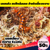 มอสแห้ง มอสเลี้ยงสัตว์ เลี้ยงตะขาบ เลี้ยงสัตว์ Vivarium Exotic pet ได้ทุกชนิด กล่องละ 50 บาท