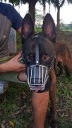 Rọ mõm kim loại cho chó to da pu, malinois, gsd becgie,rottweiler, pitbull