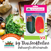 ADVOP ซฟ เมล็ดพันธุ์ แตงโมไฮร๊อค แตงโมทรงตอปิโด ตราตะวันต้นกล้า V2