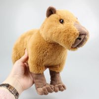 33cm Simulation Capybara Plush Toy Kawaii Capybara Stuffed Doll Soft Capybara Animal Doll for Children Girls Birthday Gift Toy