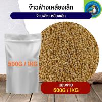 สุดยอด ฟ่างเหลืองเม็ดเล็ก Yellow Sorghum อาหารนก กระต่าย หนู กระต่าย กระรอก ชูก้า และสัตว์ฟันแทะ (แบ่งขาย 500G / 1KG)