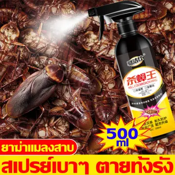 ฟอก กี้ ฉีด ไล่ แมลง ราคาถูก ซื้อออนไลน์ที่ - มิ.ย. 2023 | Lazada.Co.Th