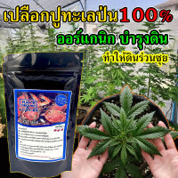 เปลือกปูบด Crab Meal ? Cal-Mag มีแร่ธาตุมาก Organic 100% Crab Meal Fertilizer Mix 200 กรัม ปรับสภาพดิน แก้ปัญหาพืช ใบเหลือง แคะแกรน เปลือกปูป่น เปลือกปูทะเล เปลือกปูทะเลป่น เปลือกปูทะเลบด เปลือกปูละเอียด