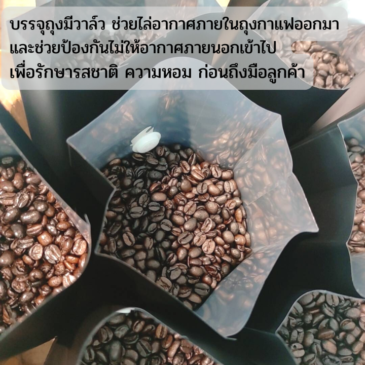 เมล็ดกาแฟสด-คั่วใหม่-กาแฟปางขอนแท้-pangkhon-อราบิก้า-100-เมล็ดกาแฟคั่วเข้ม-คั่วเข้มมาก-หอม-เข้ม-ราคาโรงคั่ว-ส่งไว-บรรจุถุงติดวาล์ว-200-กรัม