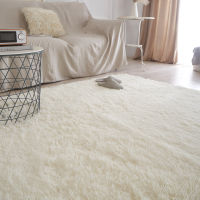 Soft Fluffy Shag Area Rugs for Living Room Shaggy Floor Car for Bedroom Cars Kids Home Decor Non-Slip Machine Washable