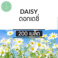 (พร้อมส่ง?) เมล็ดพันธุ์ ดอกเดซี่ สีขาว 200 เมล็ด (แพคสุดคุ้ม) มีคู่มือปลูกด้วยตนเอง พันธุ์แท้100% นำเข้าจากต่างประเทศ