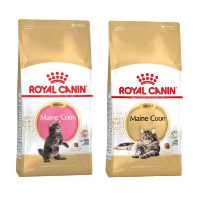 Royal Canin Kitten ,Adult Maine Coon อาหารสำหรับลูกแมว และ แมวโต พันธุ์เมนคูน 10 กิโลกรัม