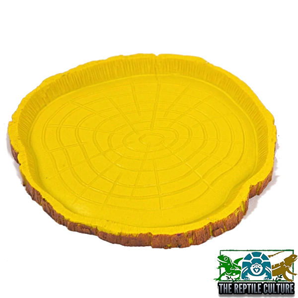 Large Tortoise Reptile Feeding Dish Round Pet Vivarium Terrarium