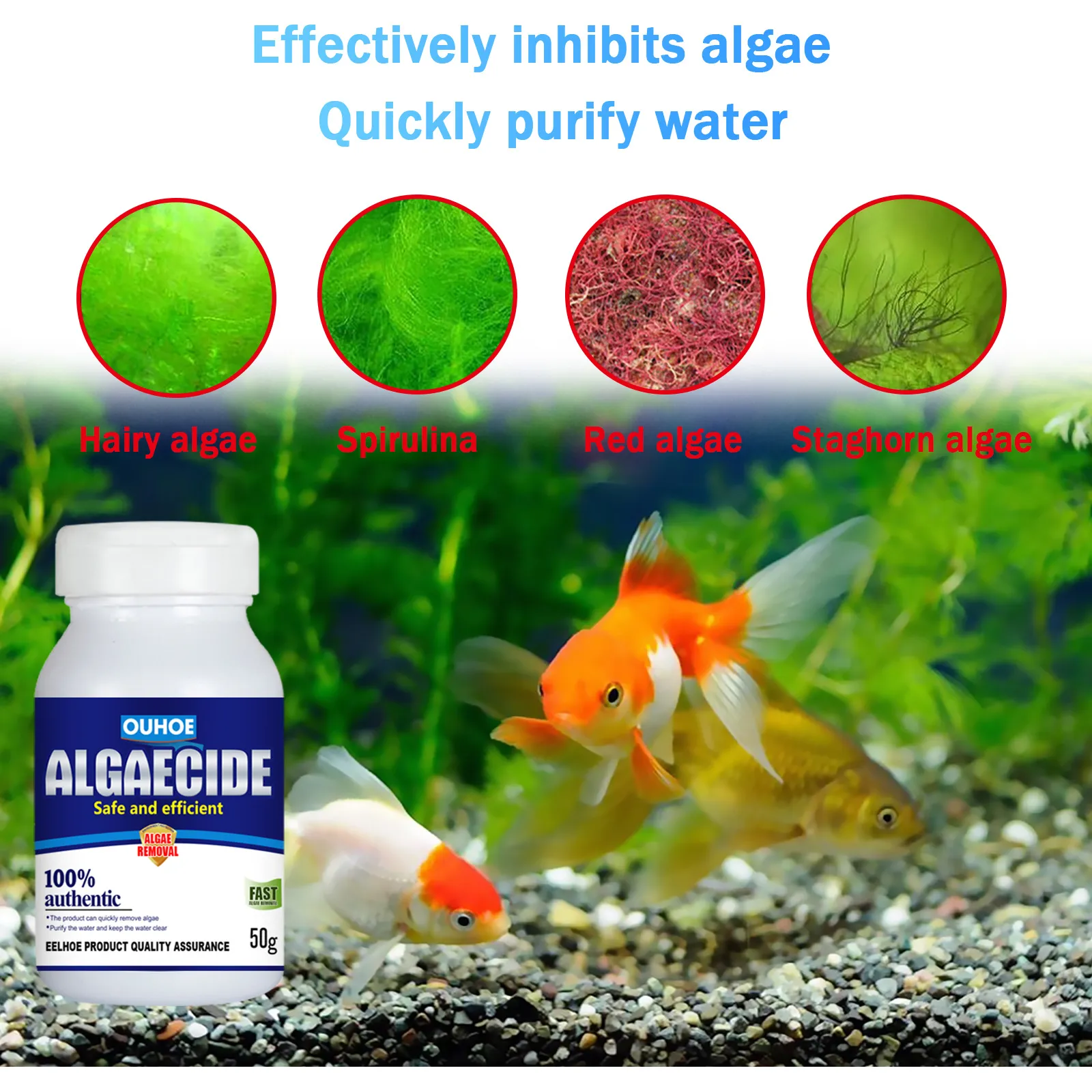 50g Aquatic Algae Control Purifier High Effectiveness Tank Algae Remover  Cleaner Treatment Aquarium Water Cleaner | Lazada PH