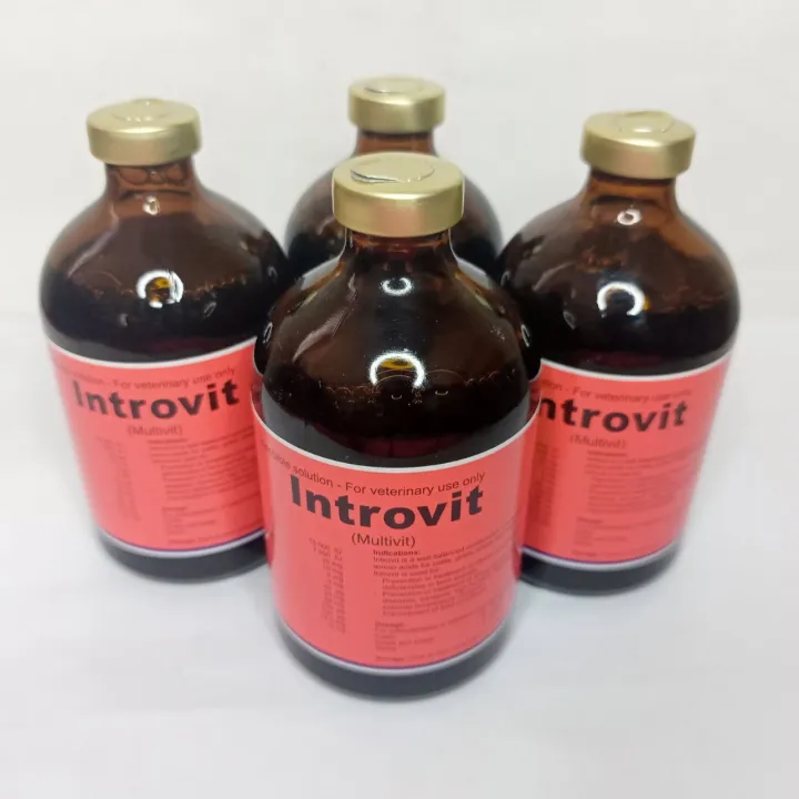 [SOUTH VET II] 4 Bottles 100ml Introvit Multivitamins for Gamefowl