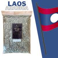 (RL01-16) สารกาฟอาราบิก้า ลาว ขนาด 16 พรีเมียม  Laos Arabica SC16