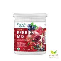 (โปร++) Organic Seeds Organic Berries Mix ขนาด 50 กรัม(12321) ส่วนลด เมล็ดพันธุ์ พันธุ์ข้าว เมล็ดหญ้า เมล็ดข้าวโพด