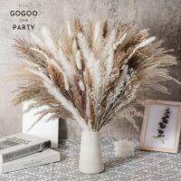 【LZ】△◕  Flor Seca Natural Fluffy Pampas Grass Coelho Rabbit Tail Reeds Decoração de Casamento Flores Artificiais Decoração de Casa 30Pcs