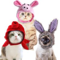 ✖❐♗ product sourcing pet dogs sorts of modelling the head dress up whimsy hat cat