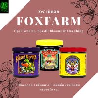 (Set ทำดอก) Foxfarm fox farm Open Sesame, Beastie Bloomz &amp; Cha Ching