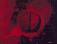 ซีดีเพลง CD Slayer 2009 - World Painted Blood,ในราคาพิเศษสุดเพียง159บาท