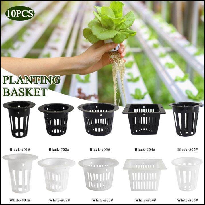10pcs Black Basket Hydroponic Aeroponic Organic - Growing In My Box