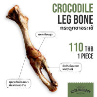 กระดูกขาจระเข้อบแห้ง 1 ชิ้น ขนมแทะขัดฟันน้องหมา Hoya Barkery crocodile leg bone