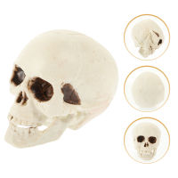 Creamnin 4 pcs จำลองโครงกระดูกหัวรุ่นฮาโลวีน Skull Prop Mini Skulls ตกแต่ง Party Props