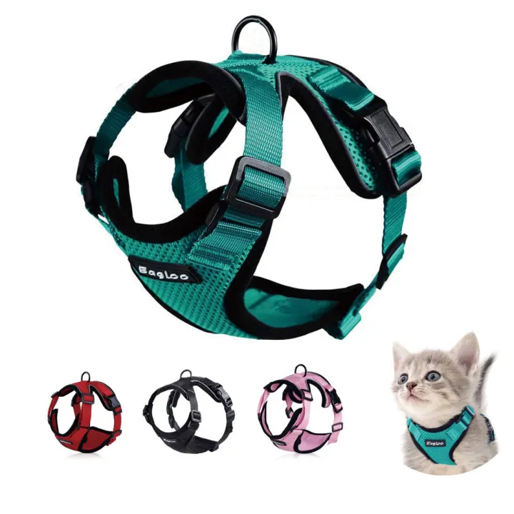 Kucing Abah-Abah dan Leash Set untuk Melarikan Diri Bukti Kucing Vest ...