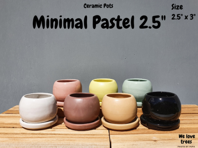 Ceramic Pots ... Minimal Pastel 2.5" ...