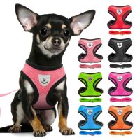 Puppy Cat Vest Harness With Leash Breathable Mesh Pet Chest Straps For Chihuahua York Harnesses Reflective Bulldog Walking Leash Collars