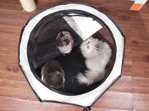 คอกแมว-บ้านแมว-ที่นอนแมว-คอกสัตว์เลี้ยงพับได้-ที่นอนพกพา-คอกพกพา-ที่นอนสุนัข-แบบมีตาข่ายกันยุง-size-s-ขนาด-74x74x43-cm-สีขาว