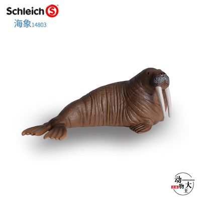 German Sile schleich simulation marine animal model childrens plastic toy ornaments walrus 14803