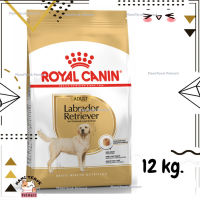 ?Lotใหม่ พร้อมส่งฟรี? Royal Canin Golden Retriever Adult รอยัลคานิน อาหารสุนัขโต พันธุ์โกลเด้น อายุ 15 เดือนขึ้นไป ขนาด 12 kg.  ✨