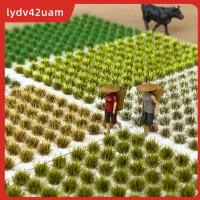 LYDV42UAM วัสดุทำด้วยมือ DIY จำลองแบบคงที่โต๊ะทรายสำหรับก่อคลัสเตอร์หญ้าเทียมภูมิทัศน์ขนาดเล็กหญ้ามินิกระจุกหญ้าแบบคงที่